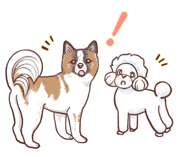 画像に alt 属性が指定されていません。ファイル名: 25.jpg